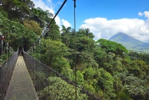 Mistico hængebroer + transport + naturguide