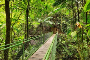 Ponts suspendus de Mistico + transport + guide naturaliste