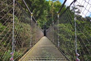 Ponts suspendus de Mistico + transport + guide naturaliste