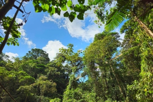 Ponts suspendus de Mistico + transport + guide naturaliste