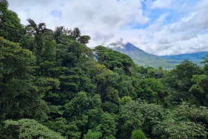 Ponts suspendus de Mistico + transport + guide naturaliste