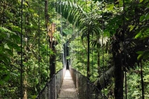 Mistico Suspension Bridges + Transport + French naturalist guide