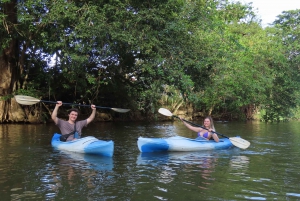 Moin´s Tortuguero canals: Naturalist Kayak Eco Adventure