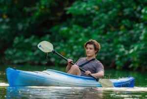 Moin´s Tortuguero canals: Naturalist Kayak Eco Adventure