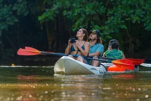 Moin´s Tortuguero canals: Naturalist Kayak Eco Adventure