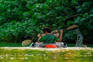 Moin´s Tortuguero canals: Naturalist Kayak Eco Adventure