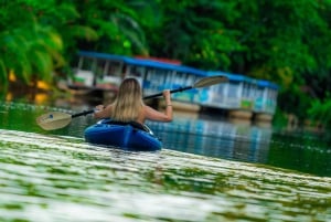 Moin´s Tortuguero canals: Naturalist Kayak Eco Adventure