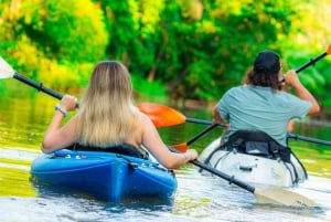 Moin´s Tortuguero canals: Naturalist Kayak Eco Adventure