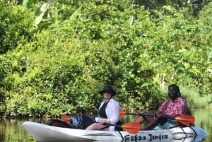 Moin´s Tortuguero canals: Naturalist Kayak Eco Adventure