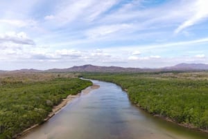 Tamarindo Estuary: Howler Monkey Mangrove Kayaking Tour