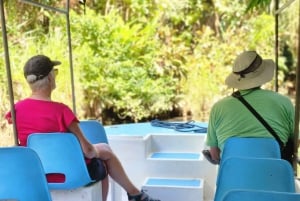 Manuel Antonio : Mangrove boat tour to see animals