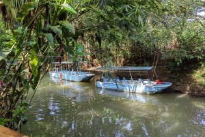 Manuel Antonio : Mangrove boat tour to see animals