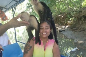 Passeio pelo manguezal dos macacos Manuel Antonio