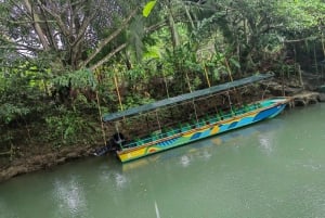 Monkey mangrove tour Quepos Puntarenas