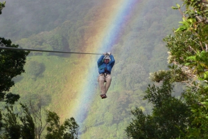 Monteverde: Djungel Zipline & Tarzan Swing med transfer