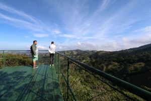 Monteverde: Djungel Zipline & Tarzan Swing med transfer