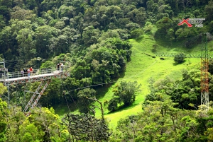 Monteverde: Djungel Zipline & Tarzan Swing med transfer