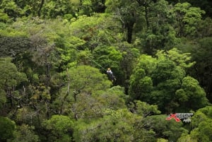 Monteverde: Djungel Zipline & Tarzan Swing med transfer