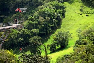 Monteverde: Zipline w dżungli i Tarzan Swing z transferem