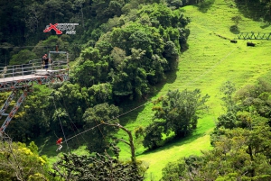 Monteverde: Djungel Zipline & Tarzan Swing med transfer