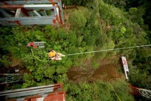 Monteverde: Tirolesa na selva e Tarzan Swing com traslado