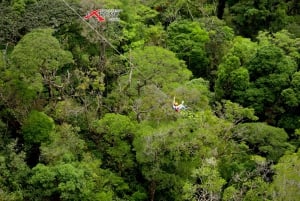 Monteverde: Tirolesa na selva e Tarzan Swing com traslado