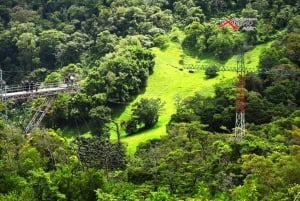 Monteverde: Zipline nella giungla e altalena di Tarzan con trasferimento