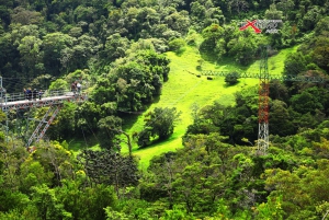 Monteverde: Djungel Zipline & Tarzan Swing med transfer