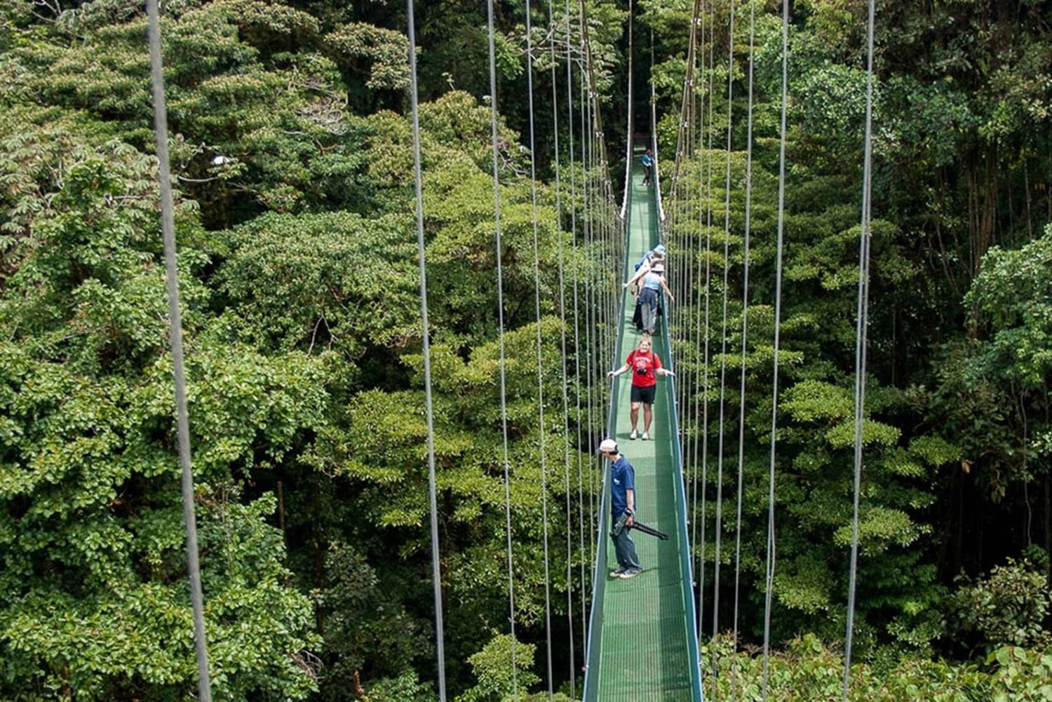 Monteverde: 3-in-1 Sky Tram, Sky Trek en Sky Walk