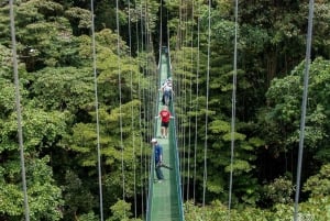 Monteverde: Sky Tram 3 in 1, Sky Trek e Sky Walk