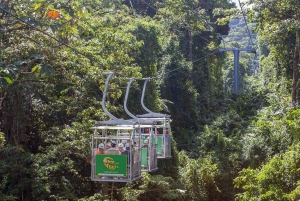 Monteverde: Teleférico 3 en 1, Sky Trek y Sky Walk