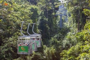 Monteverde: 3-in-1 Sky Tram, Sky Trek en Sky Walk