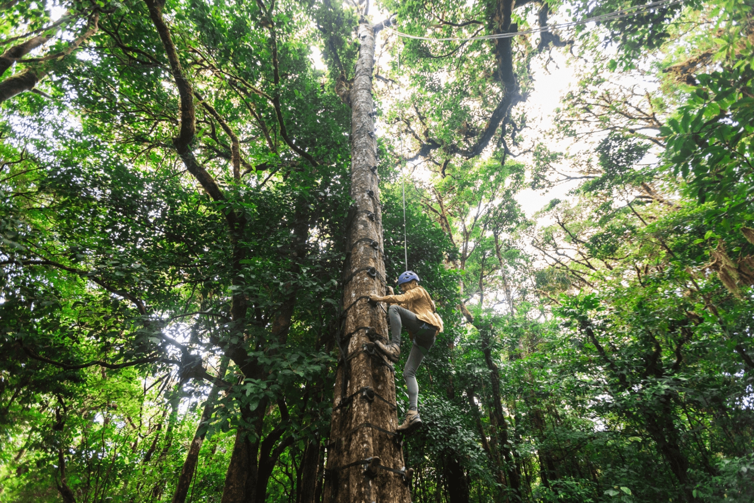 Monteverde: Adventure-Mania Zipline & Challenge Course 5in1