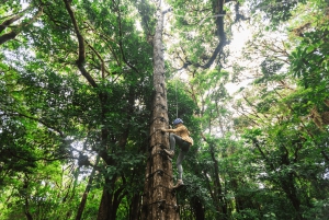 Monteverde: Adventure-Mania Zipline & Challenge Course 5in1