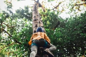 Monteverde: Arboreal Challenge Course - 5 in 1 Adventure -