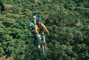 Monteverde: Arboreal Challenge Course - 5 in 1 Adventure -