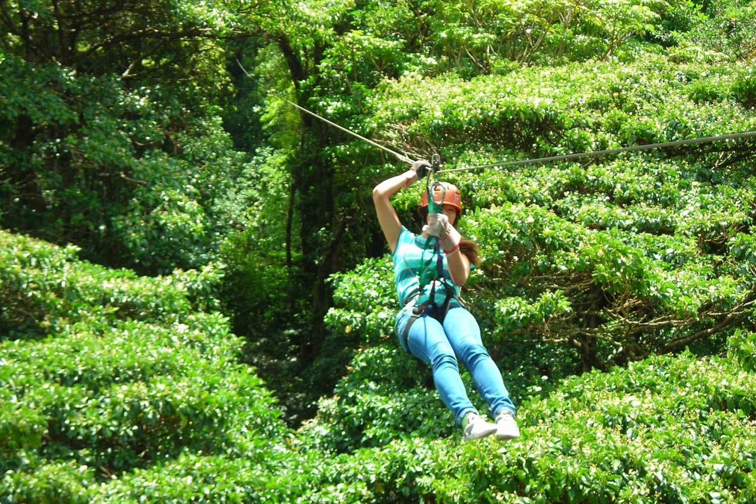 Monteverde Cloud Forest Full-Day Tour from La Fortuna