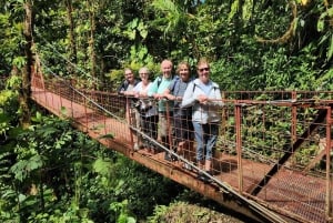Monteverde: Pilvimetsän opastettu kierros hotellin nouto