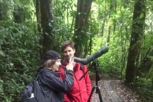 Monteverde: Pilvimetsän opastettu kierros hotellin nouto