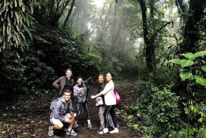 Monteverde: Pilvimetsän opastettu kierros hotellin nouto