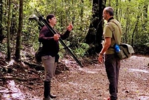 Monteverde: Guidad tur i molnskogen med upphämtning från hotell