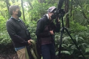 Monteverde: Guidad tur i molnskogen med upphämtning från hotell