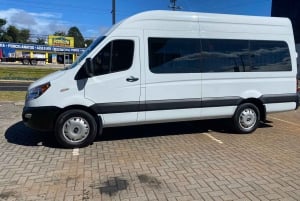 Monteverde: Guidad tur i molnskogen med upphämtning från hotell