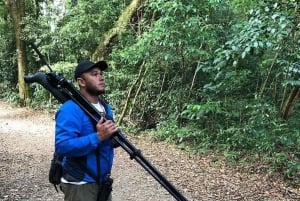 Monteverde: Guidad tur i molnskogen med upphämtning från hotell