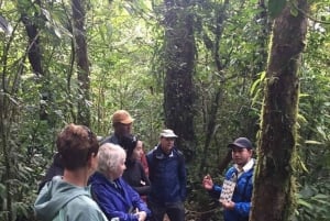 Monteverde: Guidad tur i molnskogen med upphämtning från hotell