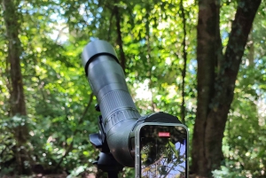 Monteverde: Cloud Forest Hanging Bridges Rondleiding
