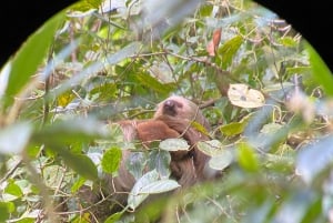 Monteverde cloud forest preserve tours