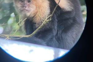 Visite de la forêt tropicale de Monteverde