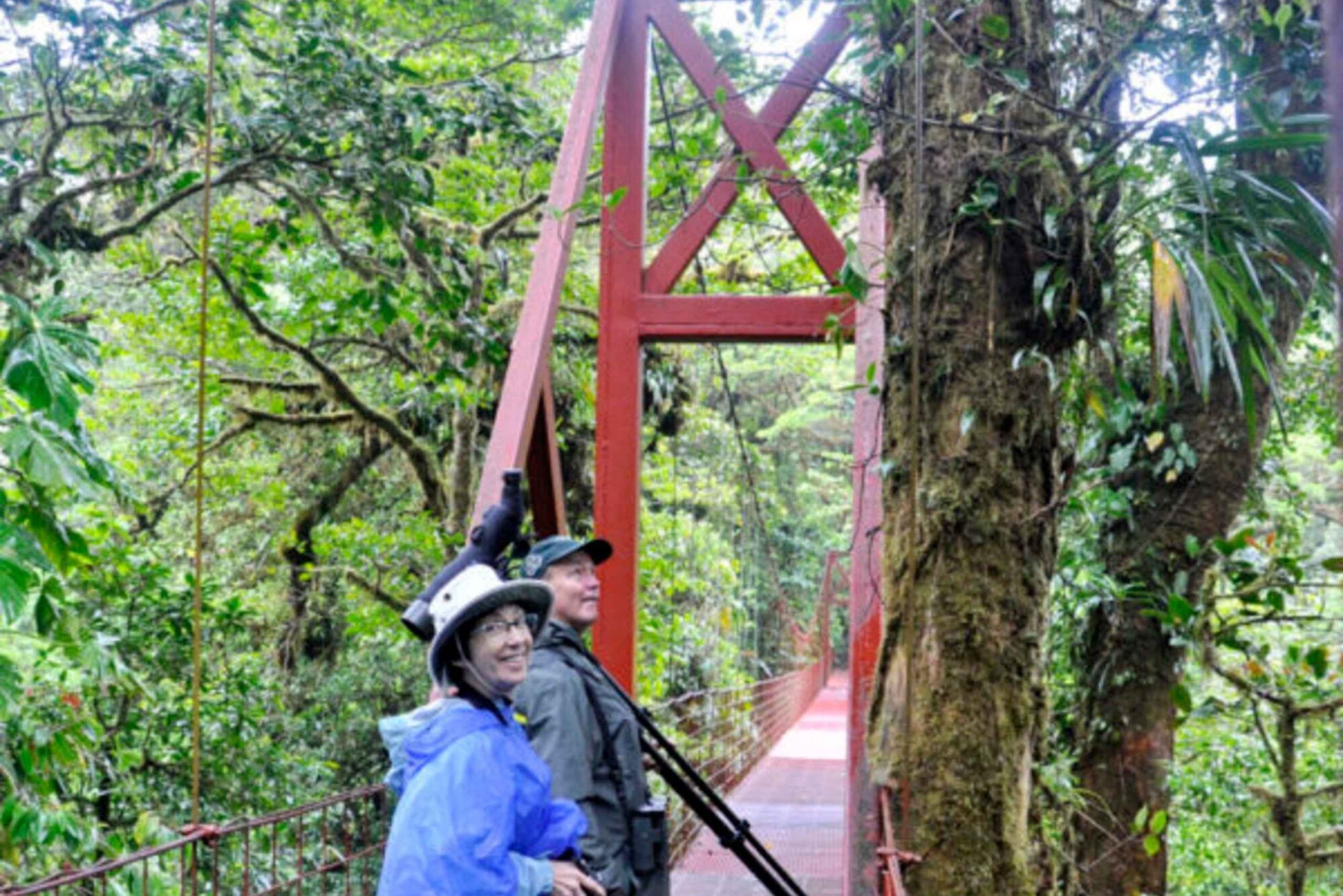 Monteverde: Wędrówka z przewodnikiem po rezerwacie Cloud Forest