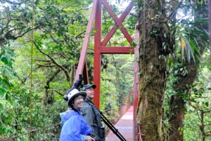 Monteverde: Wędrówka z przewodnikiem po rezerwacie Cloud Forest